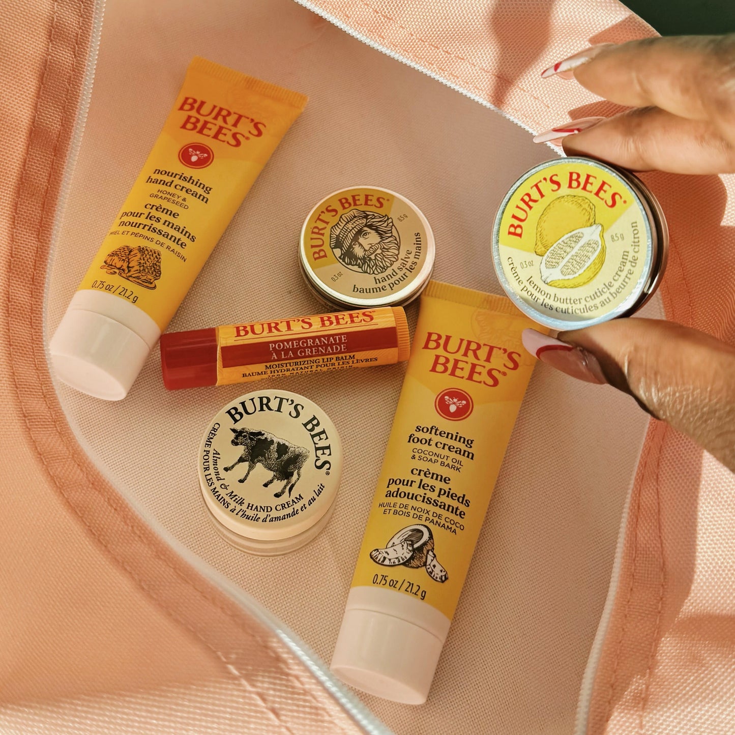 Burt's Bees Tips and Toes Gift Set