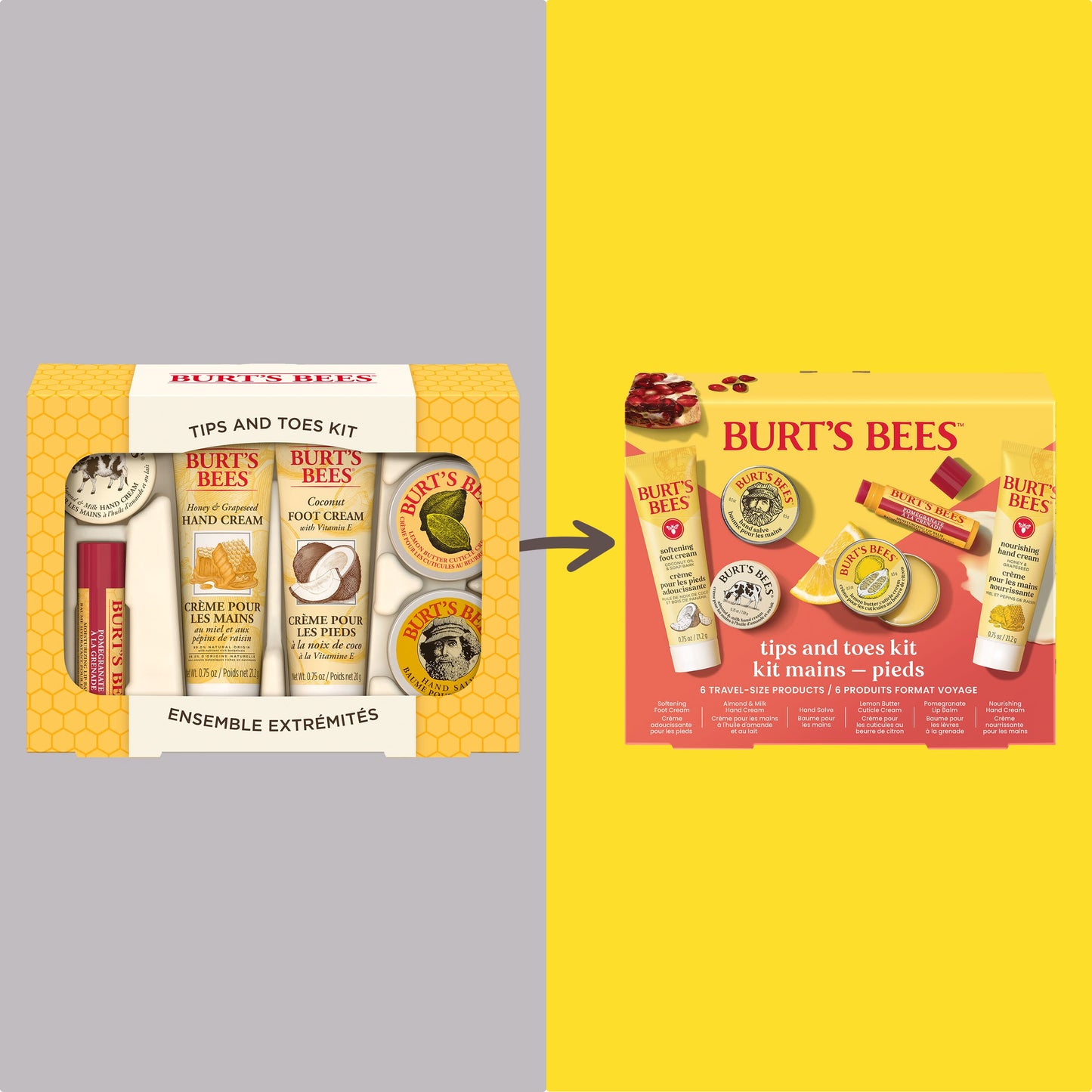 Burt's Bees Tips and Toes Gift Set