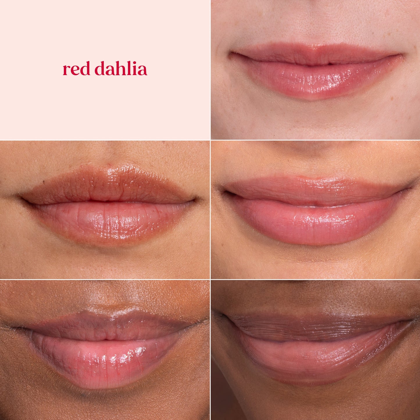 Burt's Bees Tinted Lip Balm Pack - Red Dahlia, Daisy, Rose