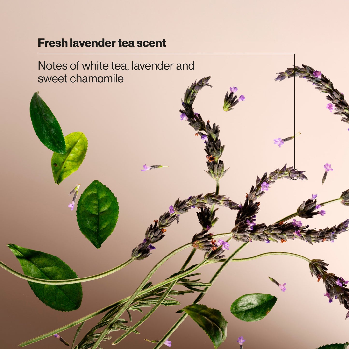 Suave Moisturizing Hand Wash - White Tea & Lavender