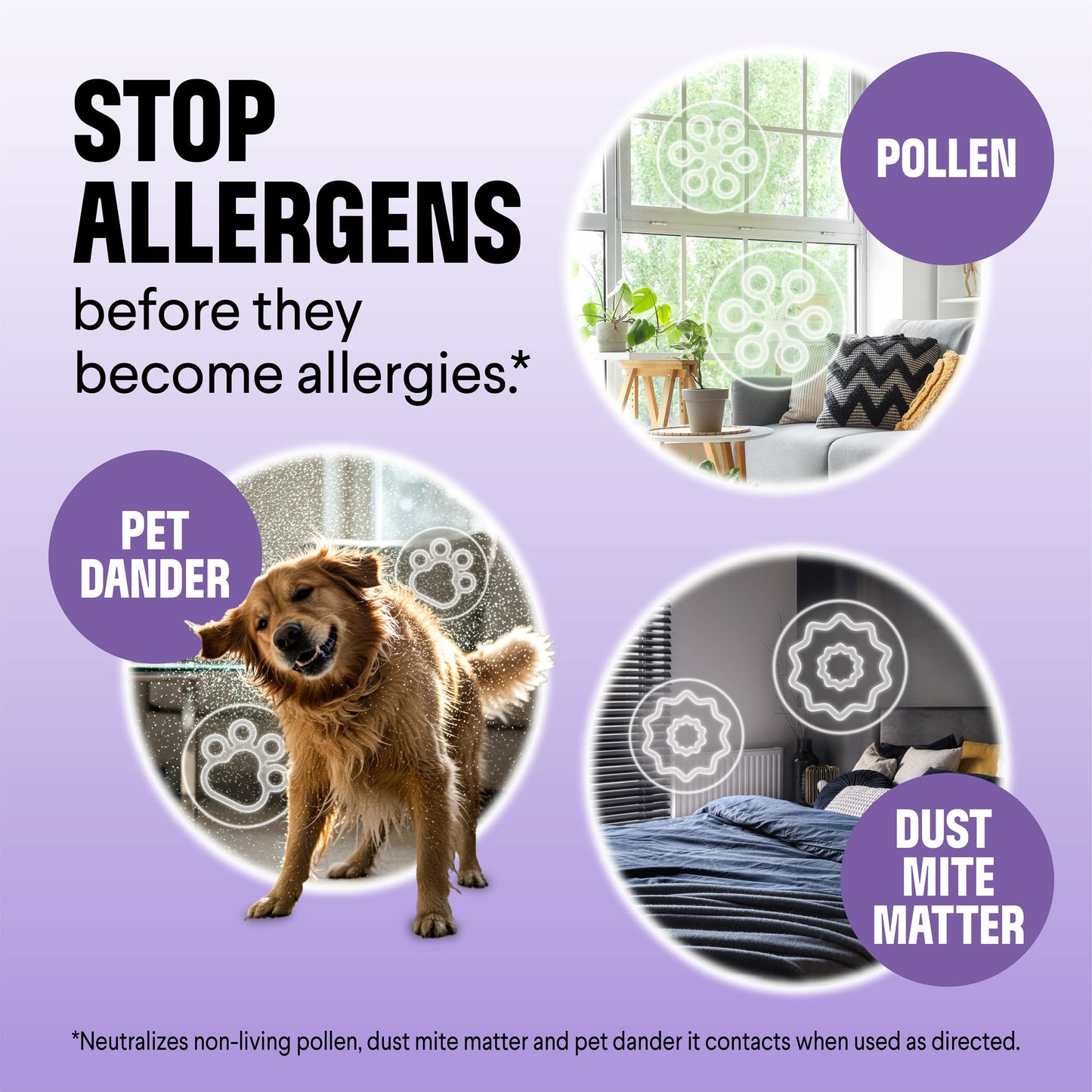 Clorox Clorox PURE Allergen Neutralizer Daily Air Spray - Nighttime Calm