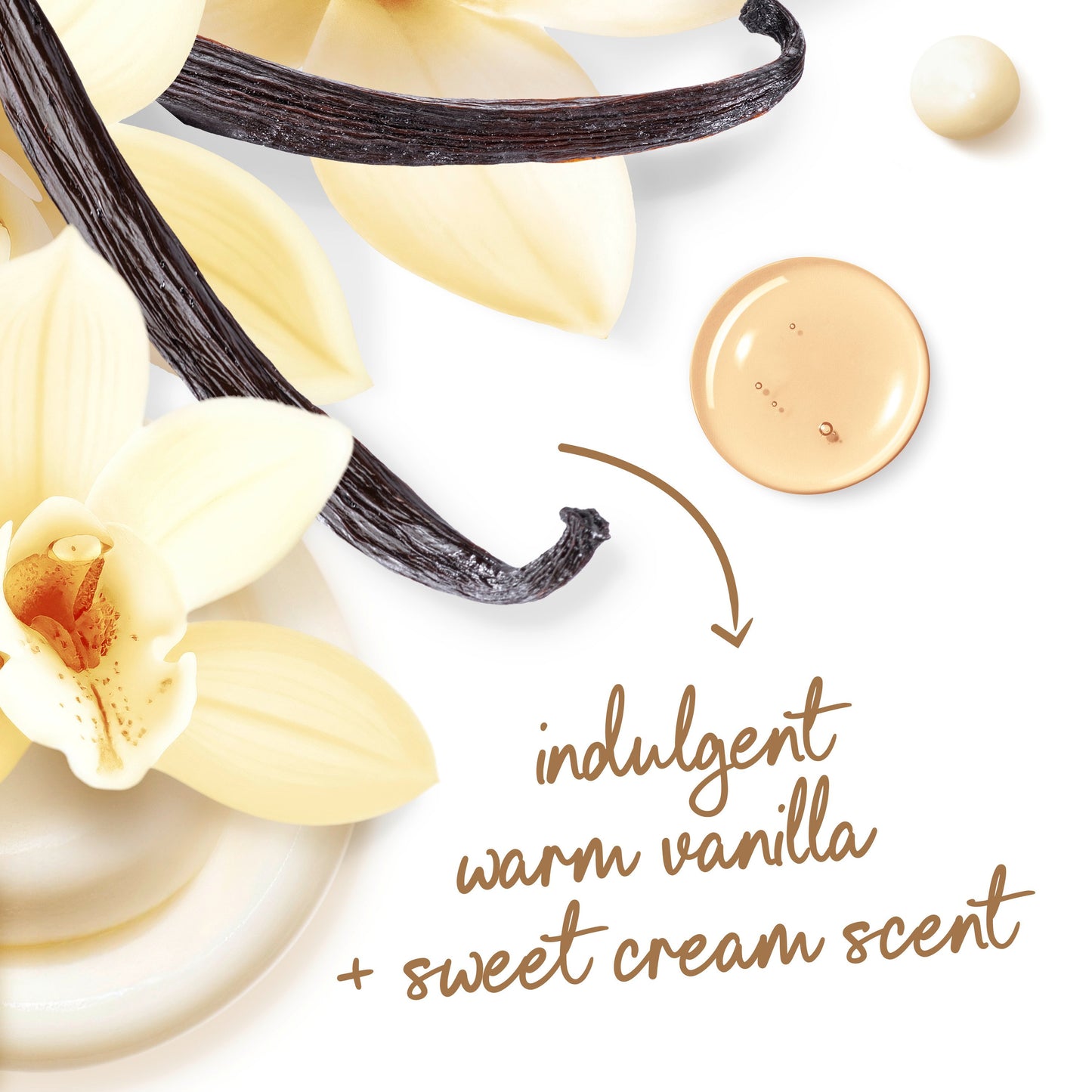 Dove Indulge Body Wash - Warm Vanilla & Sweet Cream