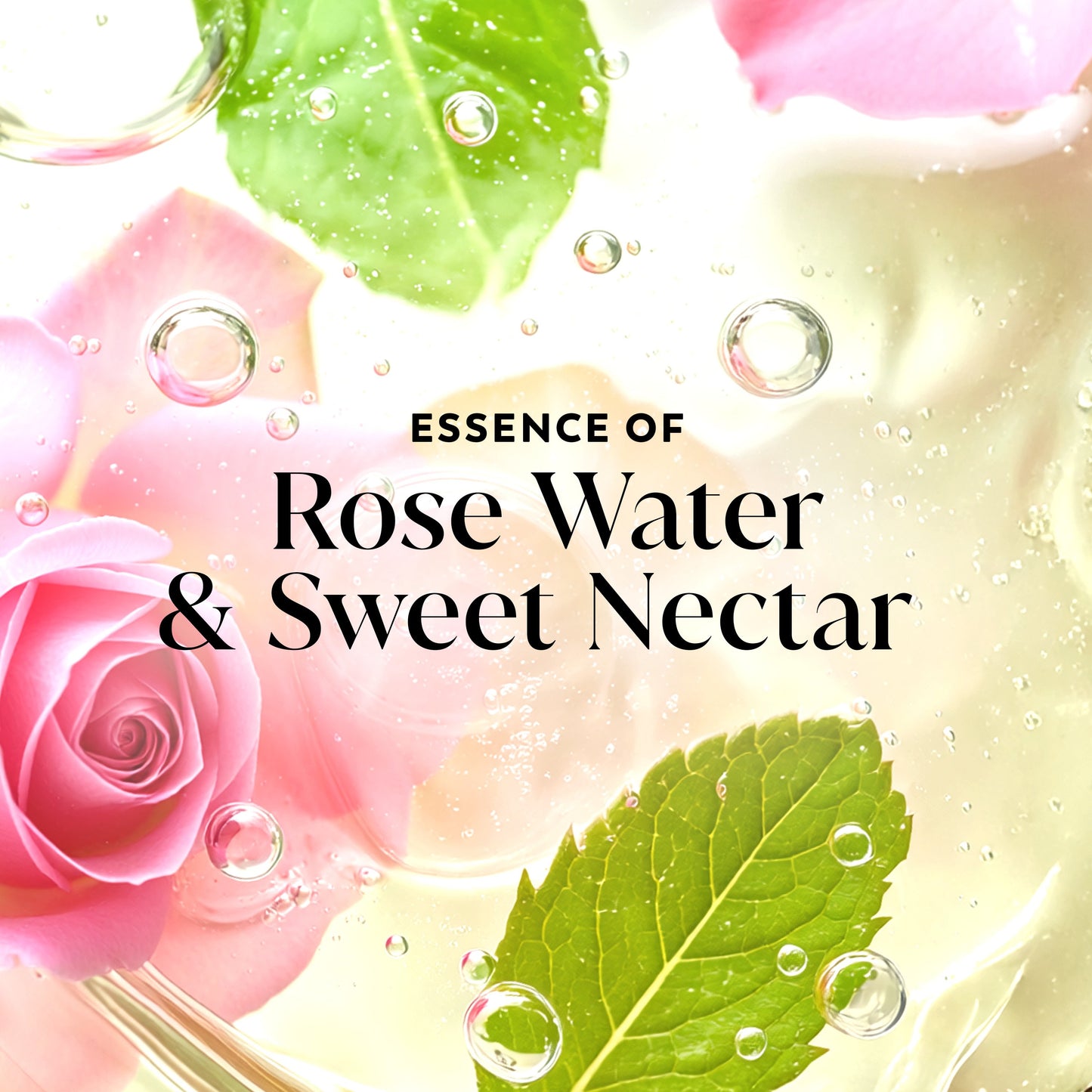 Olay Fresh Radiance Body Wash with Essence of Rose Water and Sweet Nectar, Vitamin B3 and Antioxidant Blend