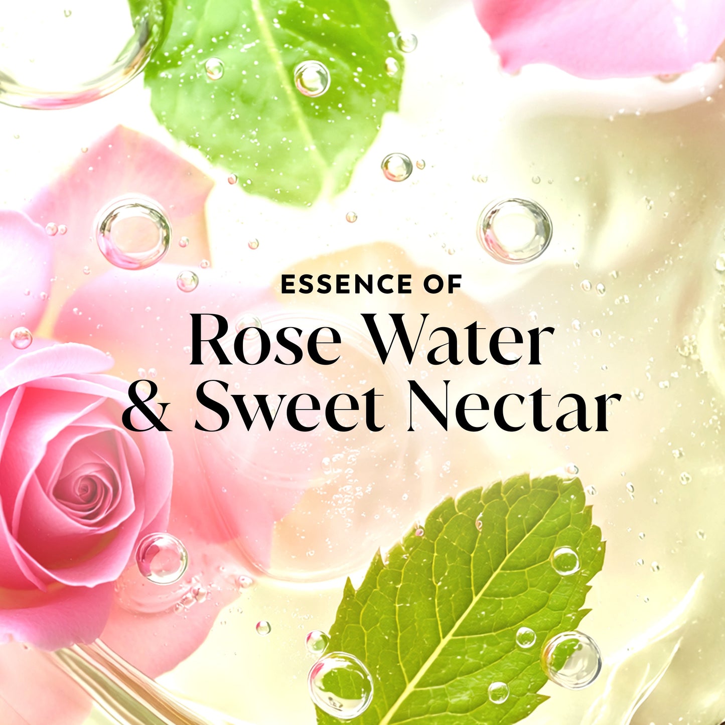 Olay Fresh Radiance Body Wash - Rose Water & Sweet Nectar