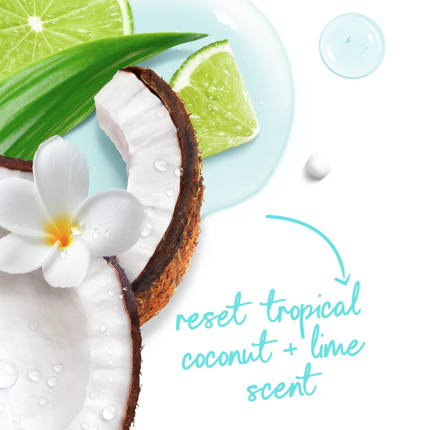 Dove Limited Ediiton Body Wash Tropical Coconut