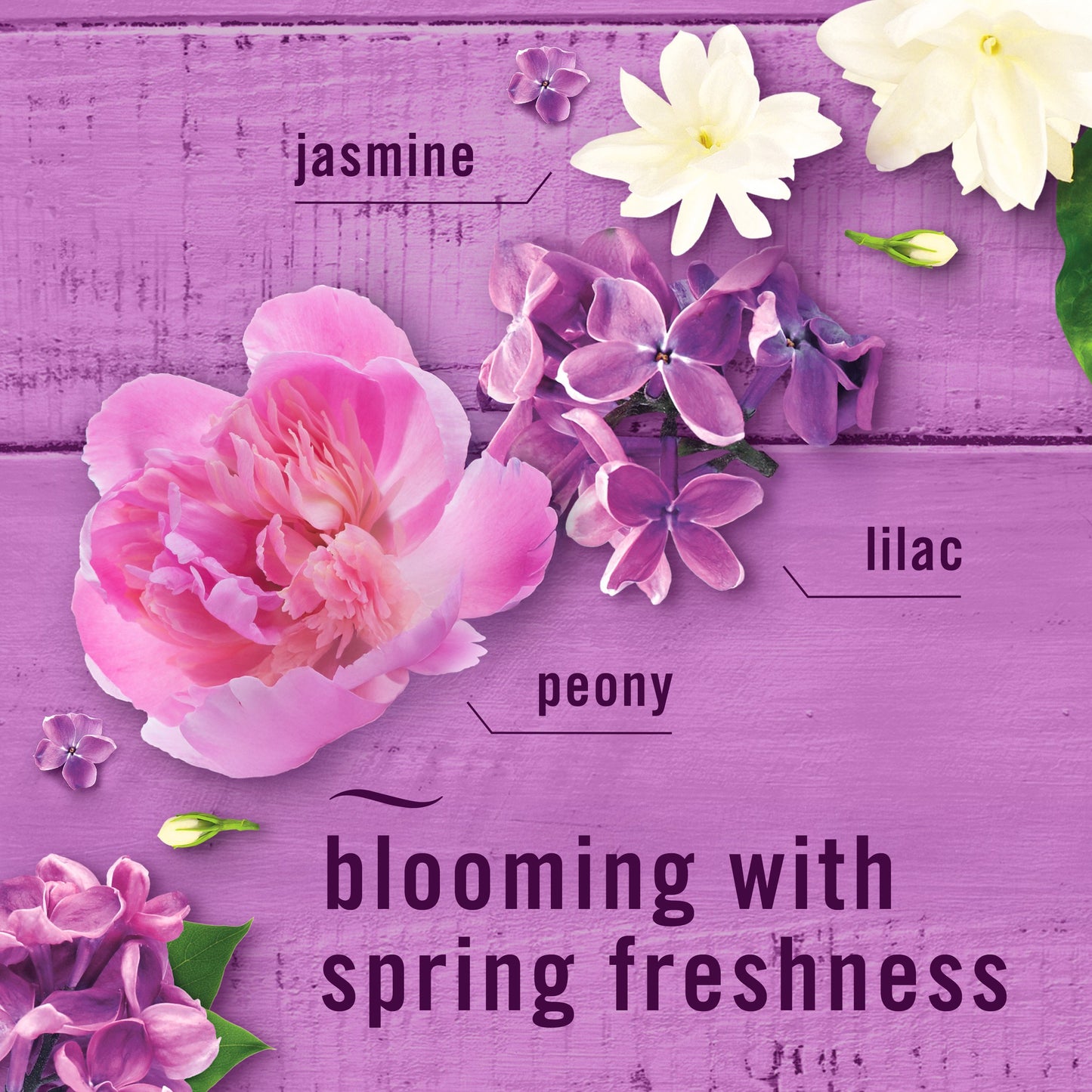 Febreze Plug Scented Oil Refills - Lilac Sunrise