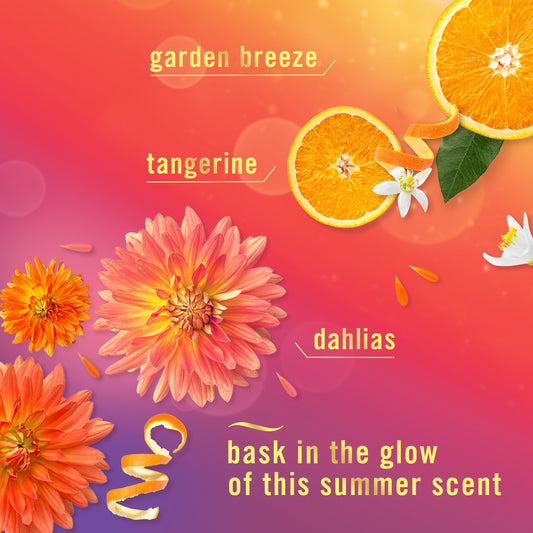 Febreze Luxe Air Freshener Spray - Summer Golden Hour