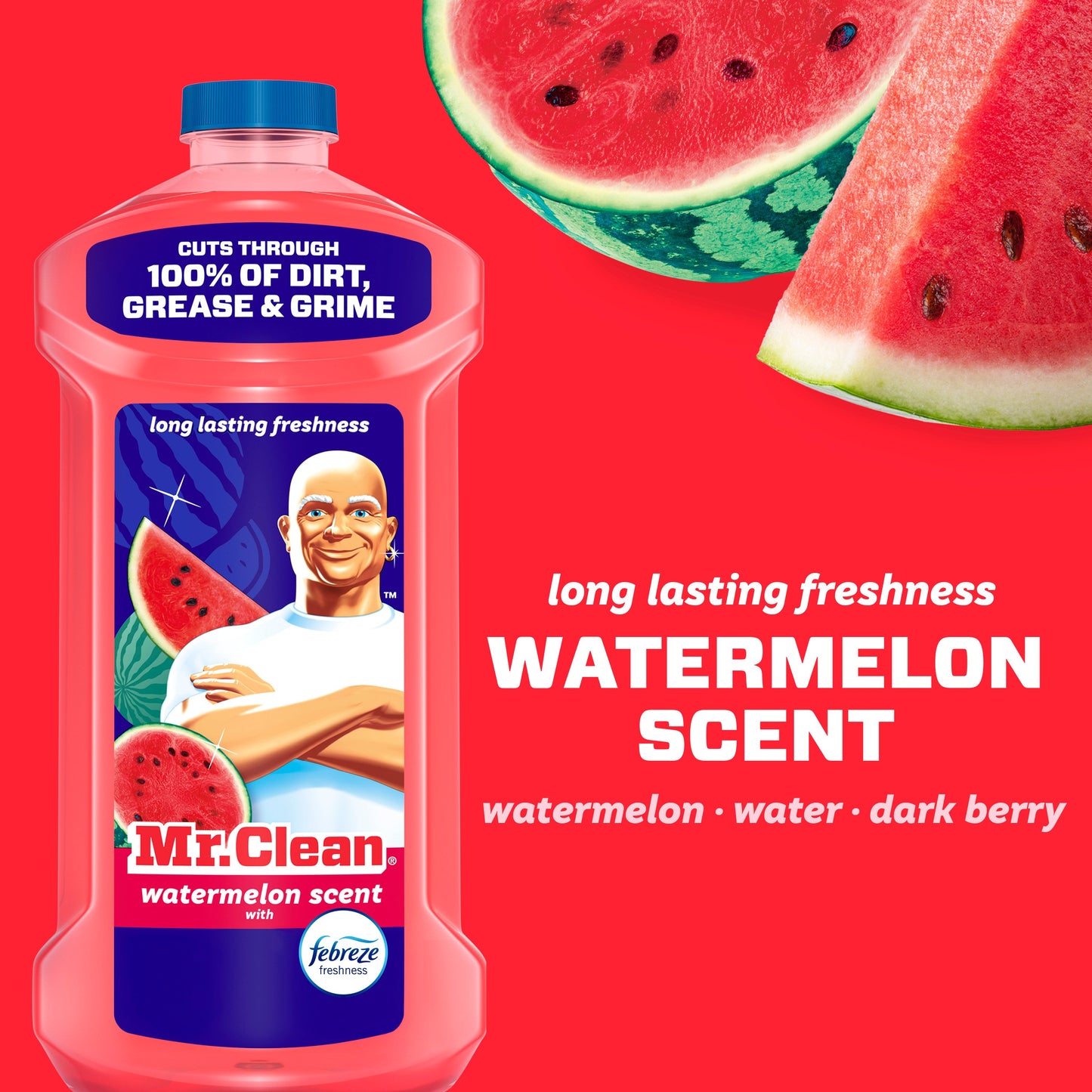 Mr. Clean Multi-Surface All Purpose Cleaner - Watermelon